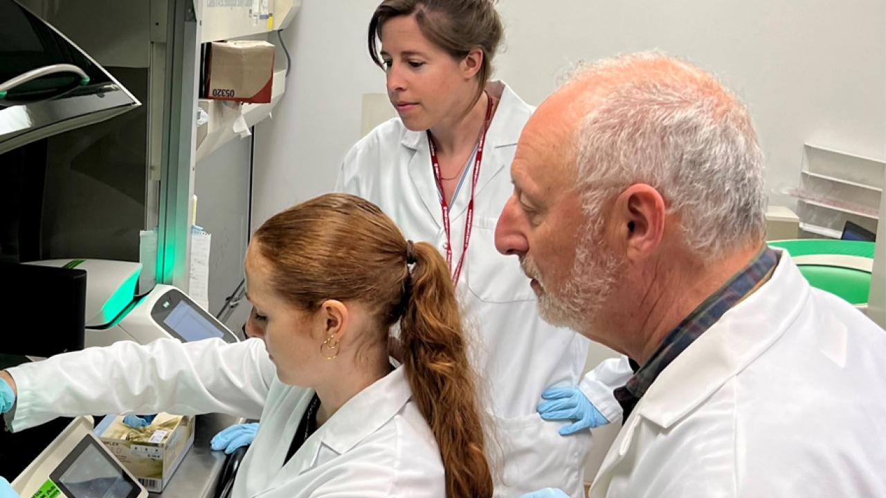 Photo of BGTCF staff doing lab work