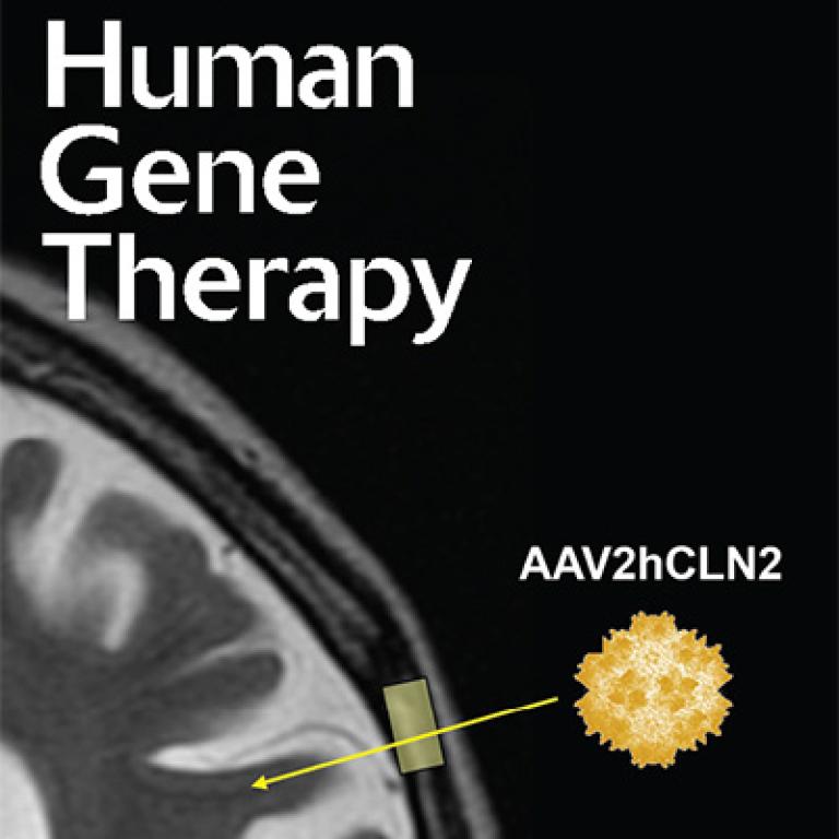 Human Gene Therapy