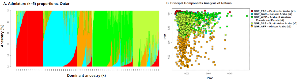 Population structure and PCA of ancestry assessed by QChip1